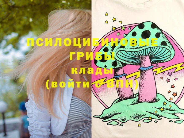 шишки Алексеевка